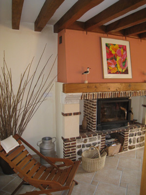 cheminee-sejour-gite-la-ferme-du-tertrejpg